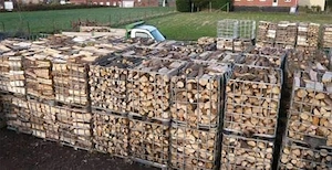 Hochwertiges Brennholz   trocken und sofort verfügbar