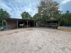 offenstallplatz 