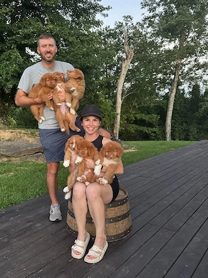 Nova Scotia Duck Tolling Retriever Welpen   kleine Herzen, große Abenteuer