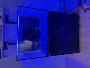 Red Sea Reefer XL 300 komplett