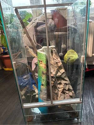 Glas Terrarium 60x45x90