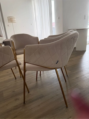 Esszimmer Stühle 