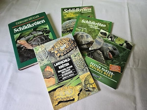 Fünf Bücher über Schildkröten