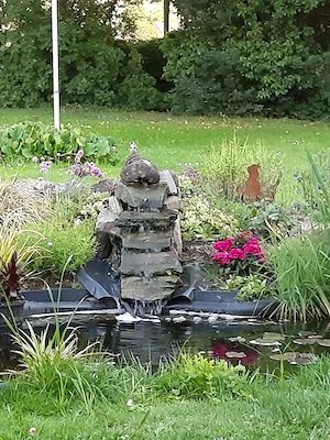 Teich komplett mit allem ...zum Verschenken