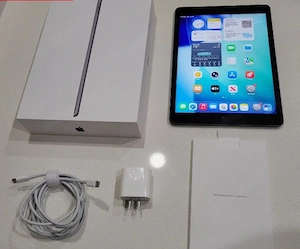 iPad 2021 (celular + Wifi, excelente estado)