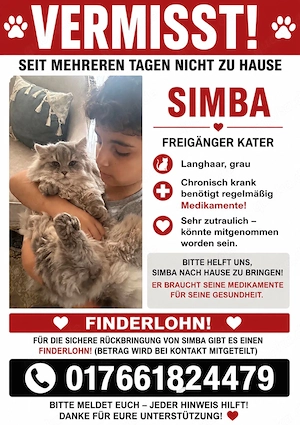 Kater wird vermisst 