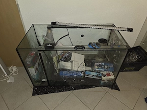 Aquarium mit Trennscheibe