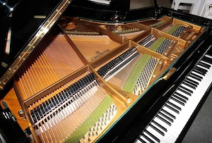Flügel Bechstein L-167, schwarz poliert, Renner-Mechanik, 5 Jahre Garantie Bild 7