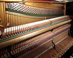 Klavier Bechstein 128, schwarz poliert, Nr. 104881, 5 Jahre Garantie Bild 6