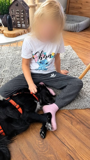 Süße Naya(1 Jahr, 43 cm, 11 kg)sucht liebevolles Zuhause 