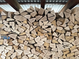 Brennholz Buche