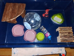 Hamster Käfig 