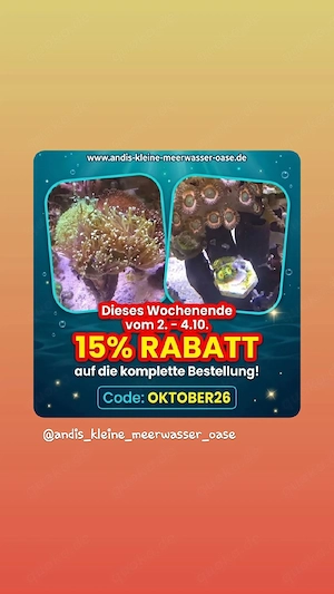 Rabatt Wochenende 15%