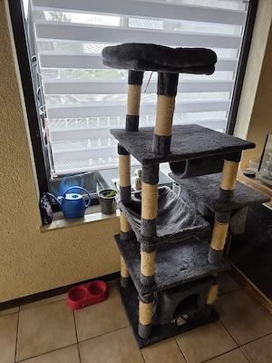Katzenbaum