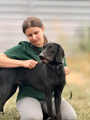 Borsod, ab 1.11. PS 47829 Krefeld, ist ein Jagdhund-Welpe und dementsprechend verspielt