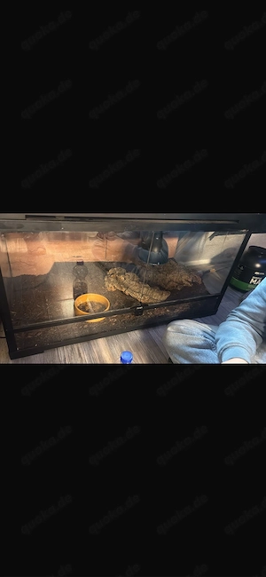 habistat terarium 90 er 