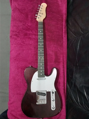 HARLEY Benton-Gitarre. 