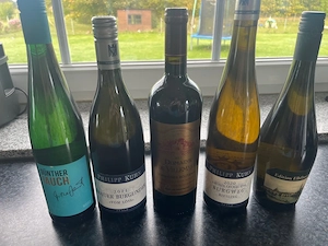 Weinsammlung 5 Flaschen