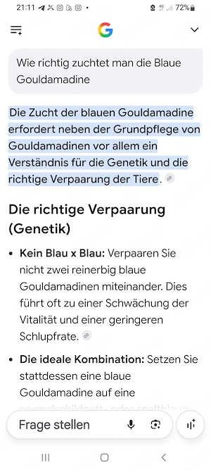 Gouldamadine  BLAU !!! Bitte lesen Sie die Folgende Artikel! 