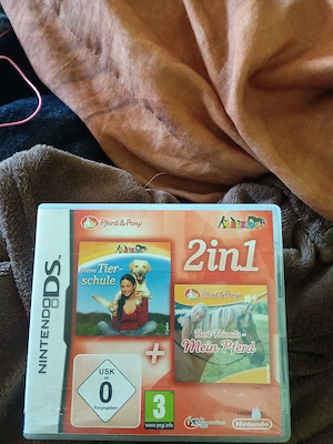 Nintendo Ds spiel 