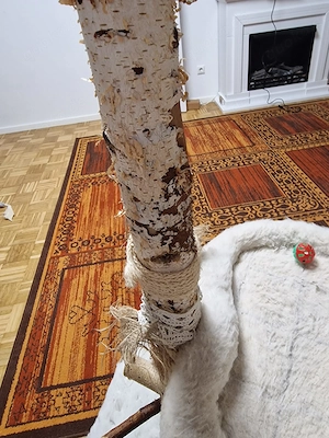 Großer Kratzbaum aus Birkenholz mit Kuschelbetten Bild 9