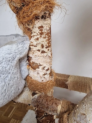 Großer Kratzbaum aus Birkenholz mit Kuschelbetten Bild 6