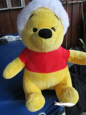 Winnie Pooh