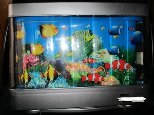 Baby Aqarium