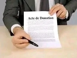 social caritas