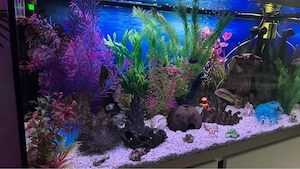 Fluval Siena 330 Liter Aquarium Komplettset inkl. Fluval 307