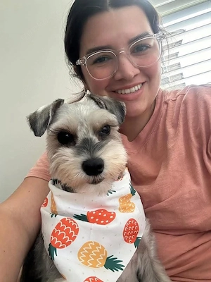 Schnauzer Puppies 