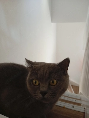 Nicole Katze 
