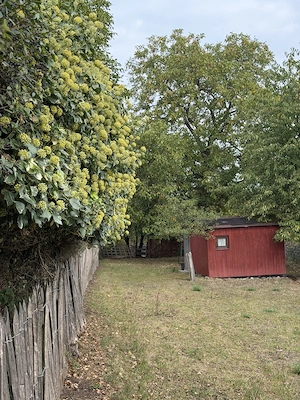 Garten Freizeitgrundstück