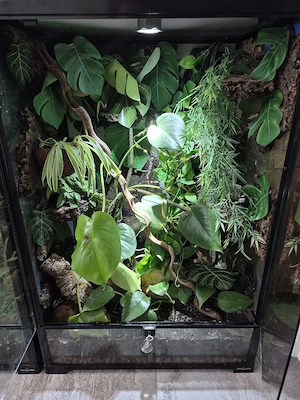 Terrarium 60x45x90 cm eingerichtet 