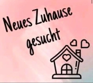 Wohnung gesucht in 67304 Eisenberg ab 01.12.2026