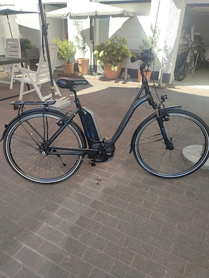 Bergamont bicycles 28 Zoll Damen und Herren E-Bike 