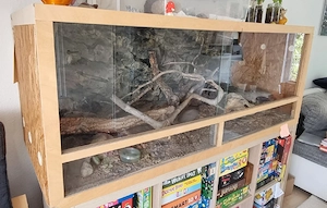 Terrarium 150x60x60 cm Holz OSB mit Rückwand