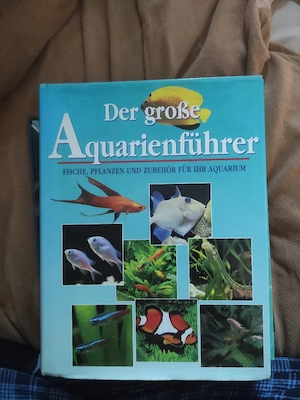 7x Aquaristik Bücher   Fische   Aquarium   Salzwasser   Süßwasser Bild 5