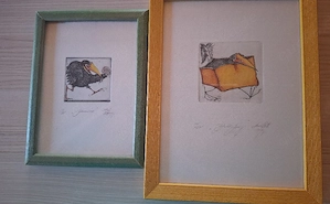 Schöne Bilder 