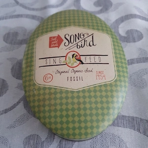 Fossilbox Oval Grün Leer