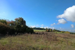Landwirtschaftliche Fläche 