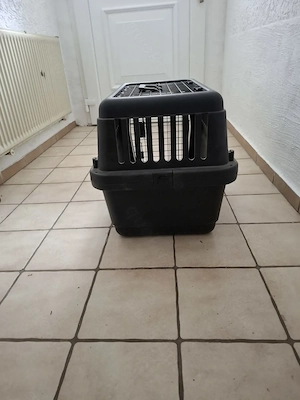 Katzen- und Hundebox