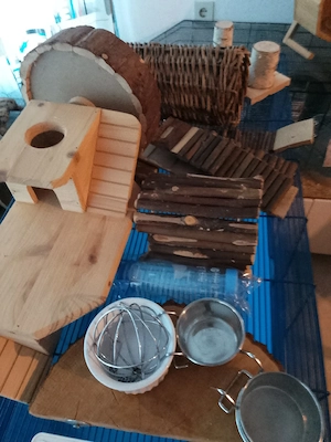 Verkaufe großen Hamster Käfig mit Zubehör