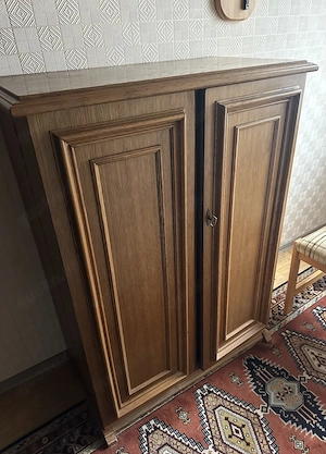 Klassischer holzschrank mit 2 Türen 