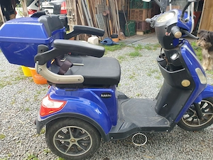 Rolektro 25 Elektromobil Dreirad Trike Seniorenmobil