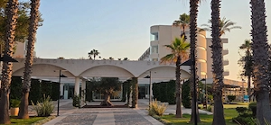 Suche Reisebegleitung Mallorca   Can Picafort für JUNI 2027