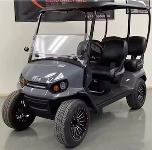 Luxury Icon Electric 6-Seater Golf Cart New Luxury Customized OEM ODM Industrial DIY Grade New Lithi