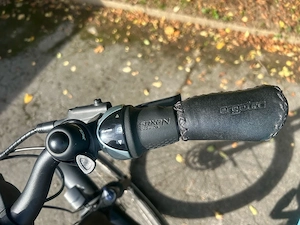 eBike Damen für eine Person von 172 und abwärts ,8 Gang Nabenschaltung
