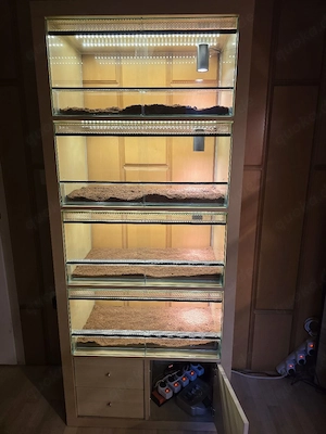 Terrarienschrank