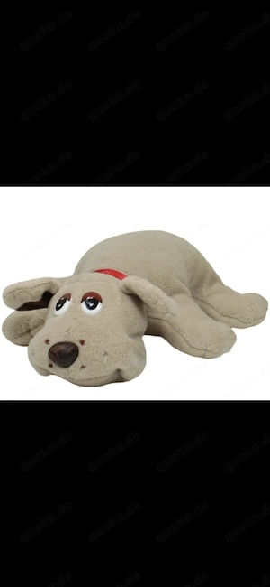 Suche kleinen Welpen 